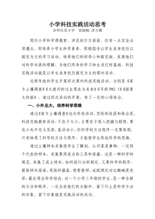 小学科技实践活动思考