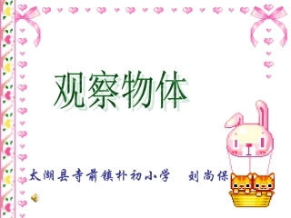 小学数学人教2011课标版二年级观察物体（1） (4)