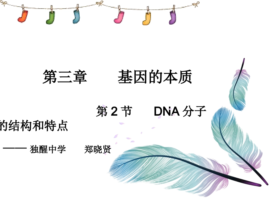 第二节DNA的分子结构和特点_第1页