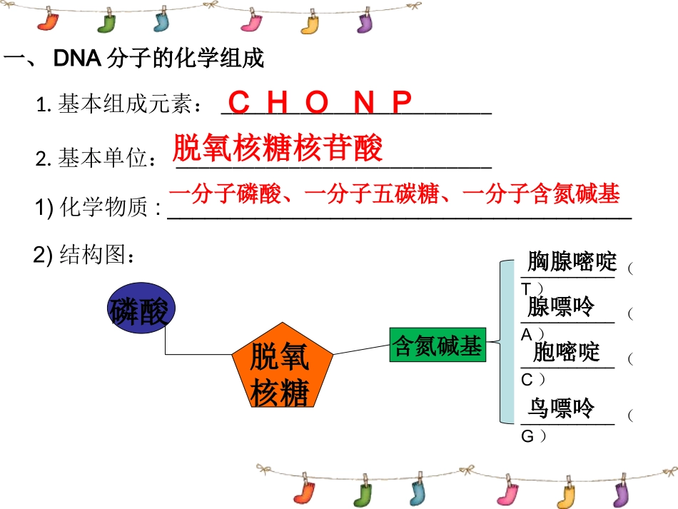 第二节DNA的分子结构和特点_第2页