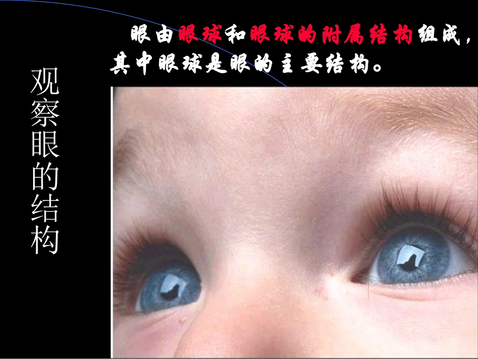 162人体对外界信息的感知_第3页