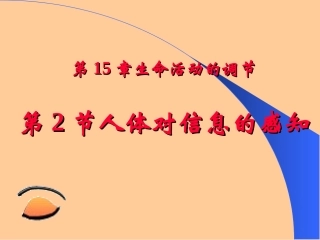 162人体对外界信息的感知