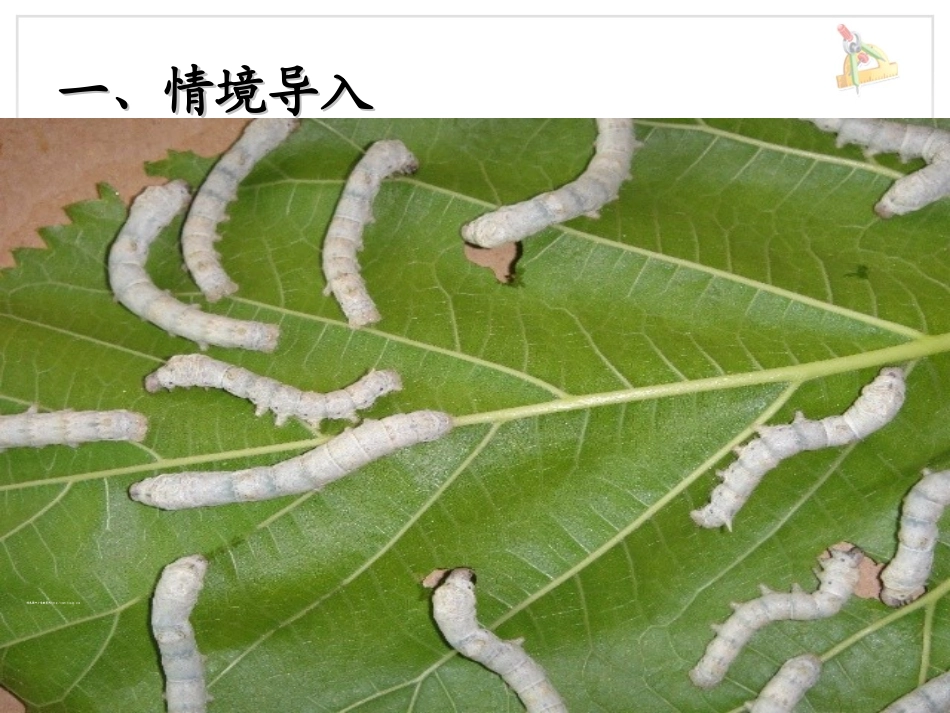 小学数学人教2011课标版二年级表内除法（一）解决问题 (3)_第2页