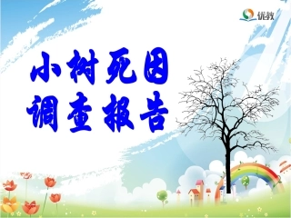 11小树死因调查报告-(2)