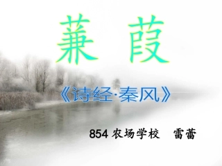 蒹葭-(2)