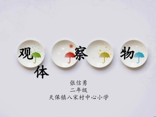 小学数学人教2011课标版二年级观察物体 (12)
