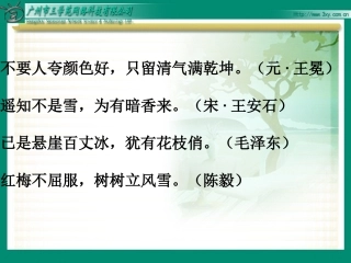 《梅花魂》课件1