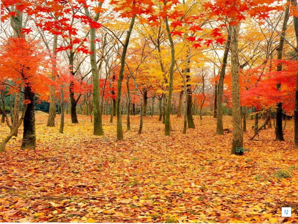 12秋的声音_第3页