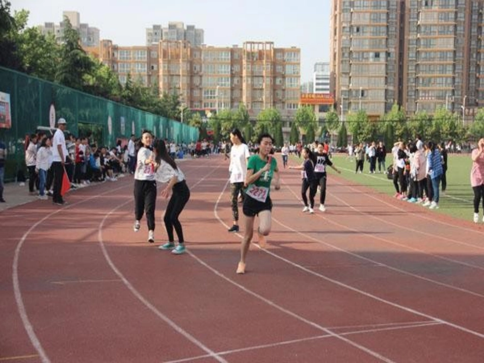 图形与图像的基本概念_第3页