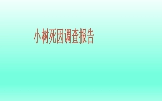 11小树死因调查报告