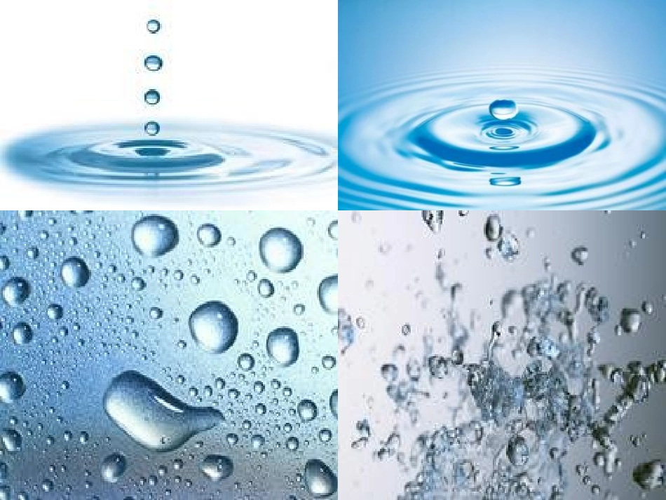 水就是生命课件(北师大版五年级语文上册课件)_第1页