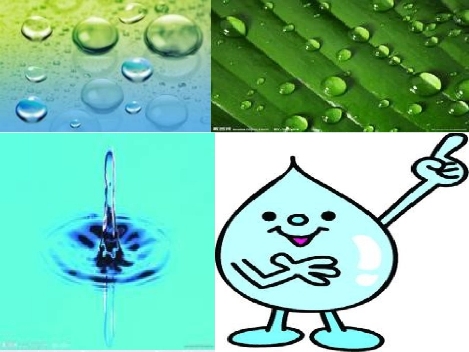 水就是生命课件(北师大版五年级语文上册课件)_第2页