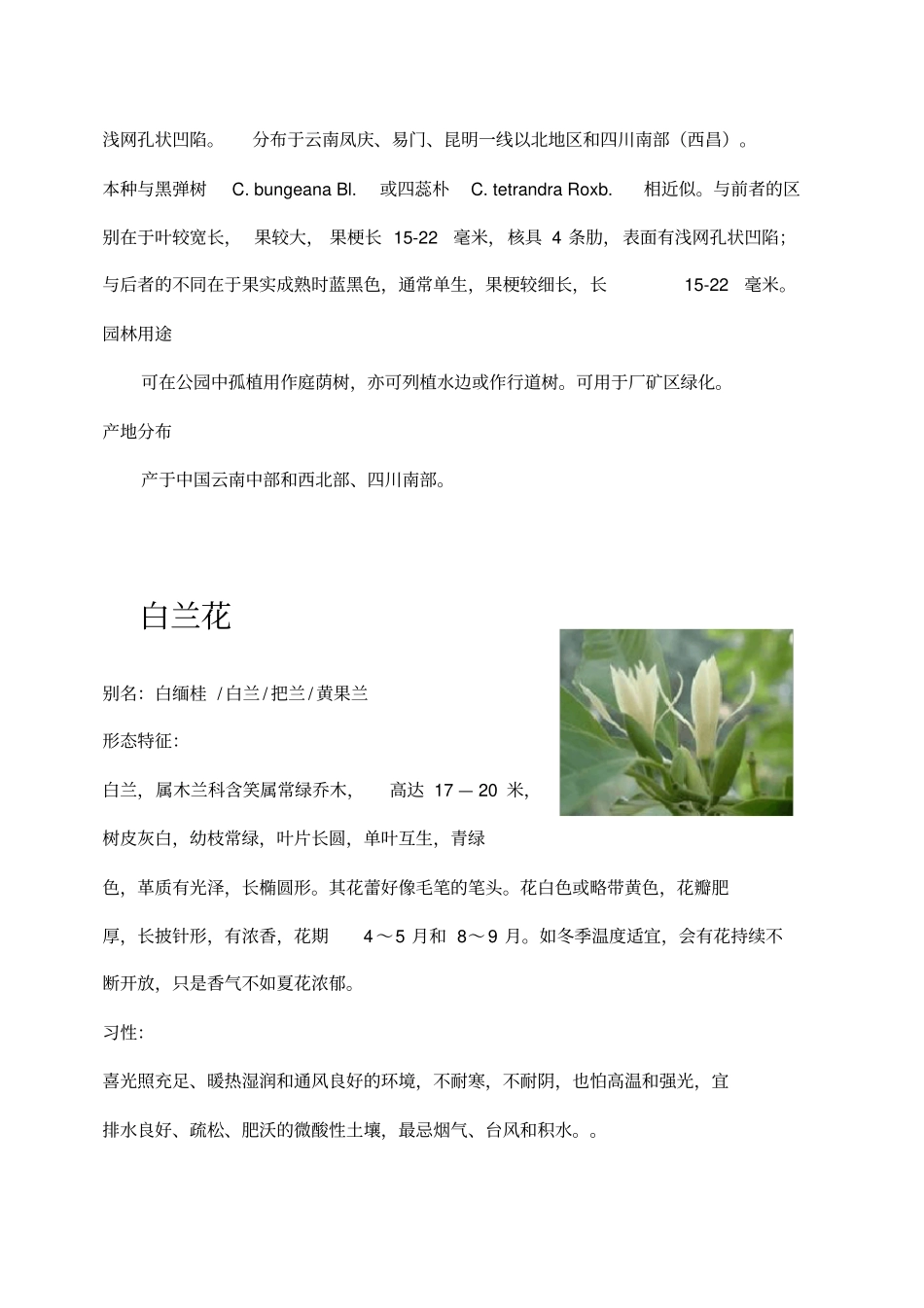 云南常见植物习性及病虫害_第3页
