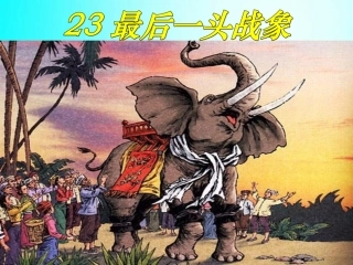 814最后一头战象