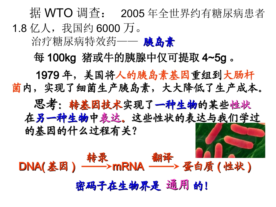 1.1DNA重组技术的基本工具_第2页