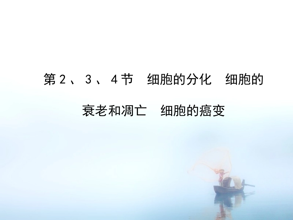 13细胞的分化衰老凋亡和癌变_第1页