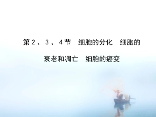 13细胞的分化衰老凋亡和癌变