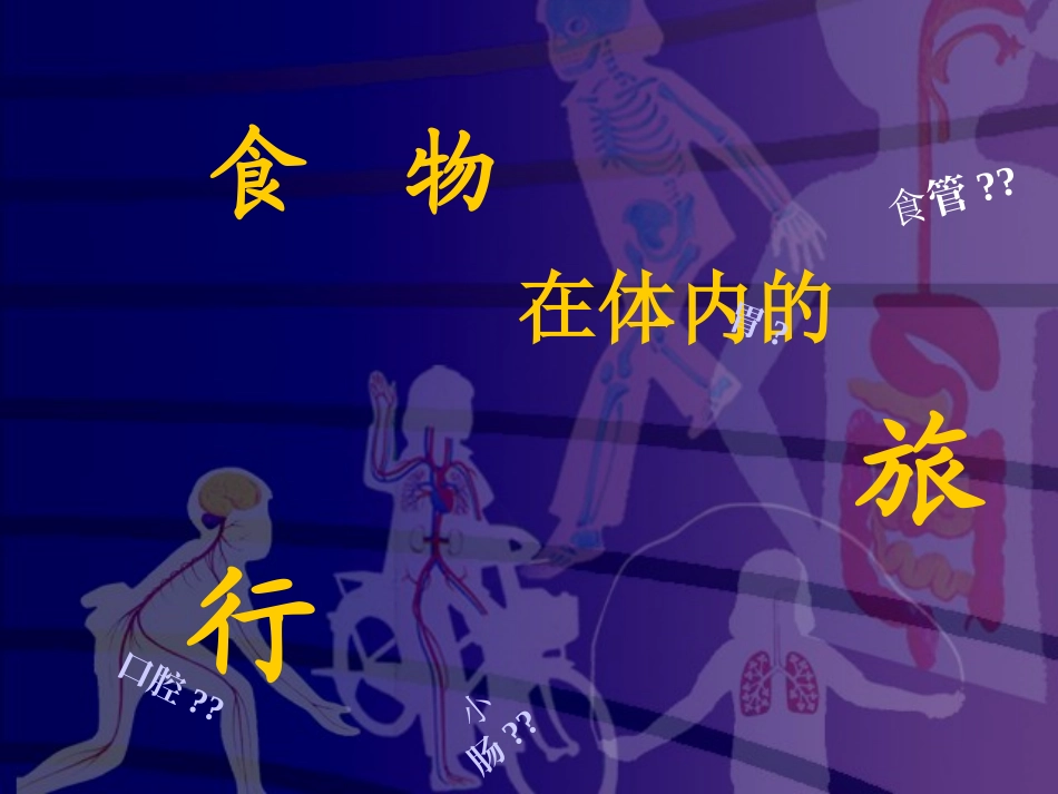 小学科学四上《食物在体内的旅行》课件-(2)_第1页