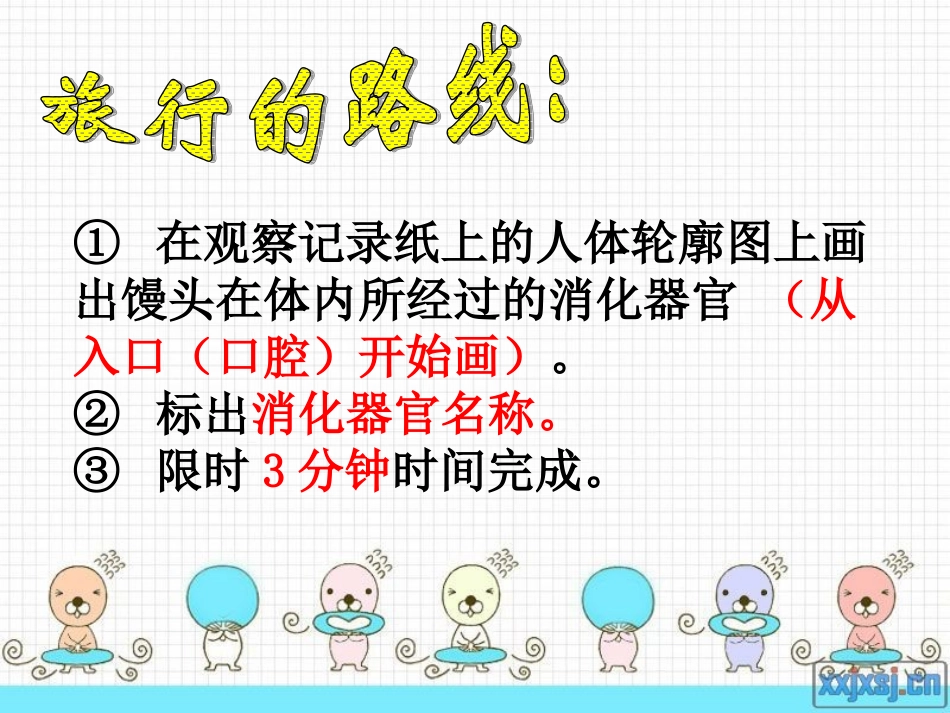 小学科学四上《食物在体内的旅行》课件-(2)_第3页