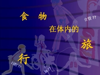 小学科学四上《食物在体内的旅行》课件-(2)