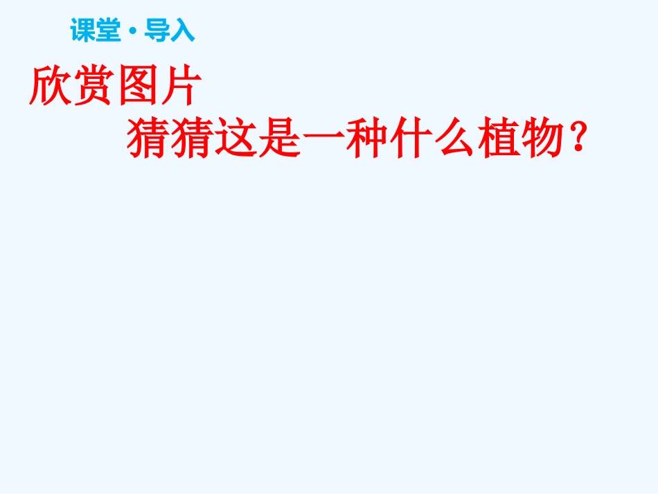 (部编)初中语文人教2011课标版七年级下册《紫藤萝瀑布》课件-(2)_第2页