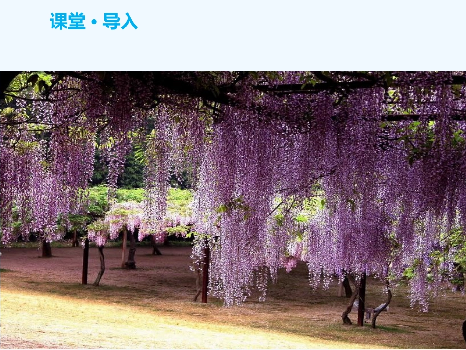 (部编)初中语文人教2011课标版七年级下册《紫藤萝瀑布》课件-(2)_第3页