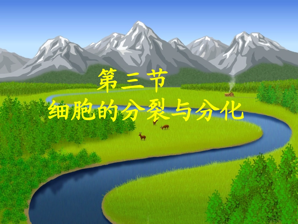 第三节细胞分裂与分化-(2)_第1页