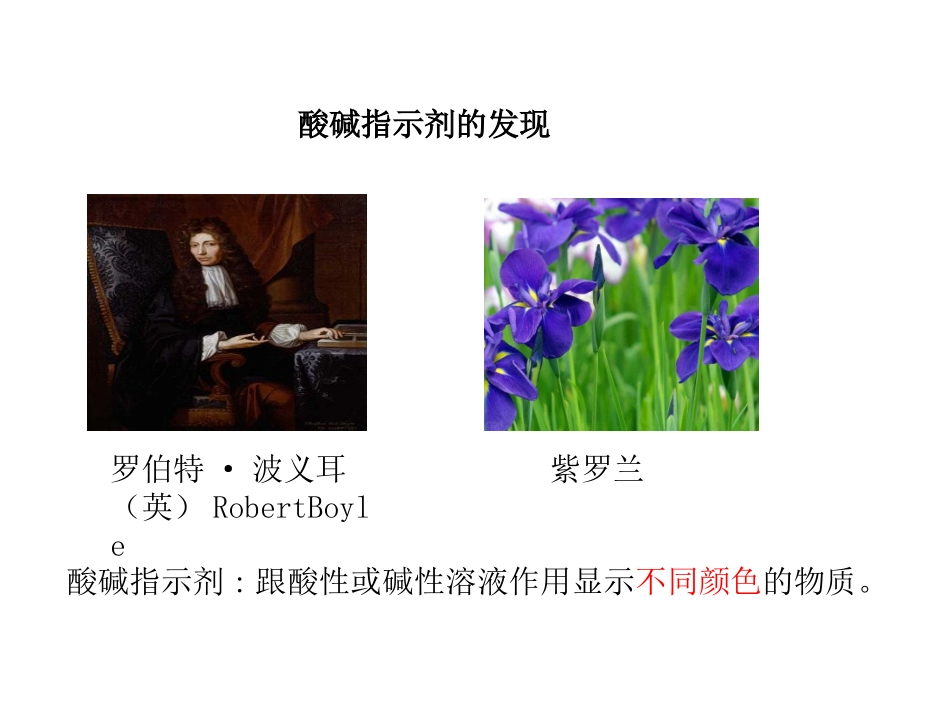 第三节溶液的酸碱性_第3页