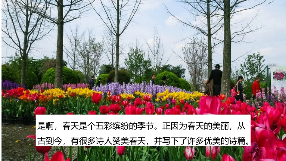 惠崇春江晚景_第2页