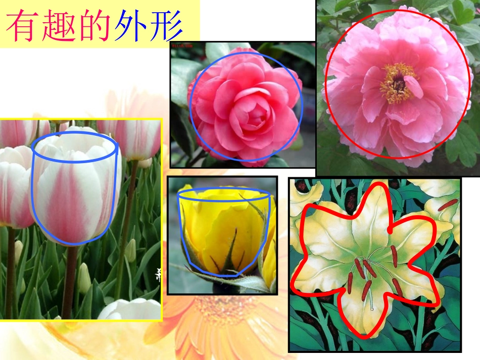 人美版小学美术四年级上册《生活与艺术中的花》课件_第3页