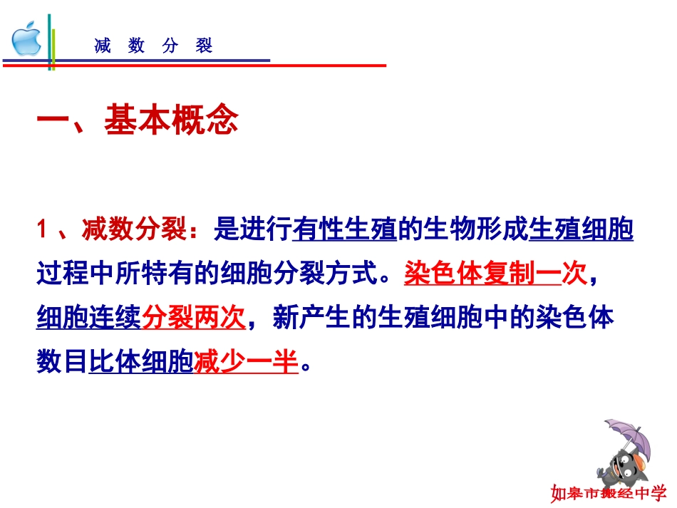 搬中减数分裂复习_第2页