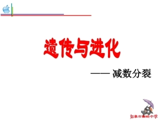 搬中减数分裂复习