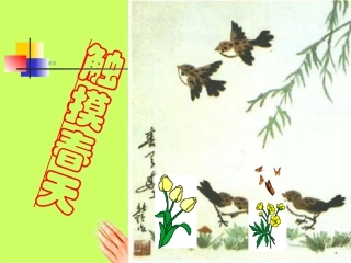 17-触摸春天PPT课件-四年级语文下册