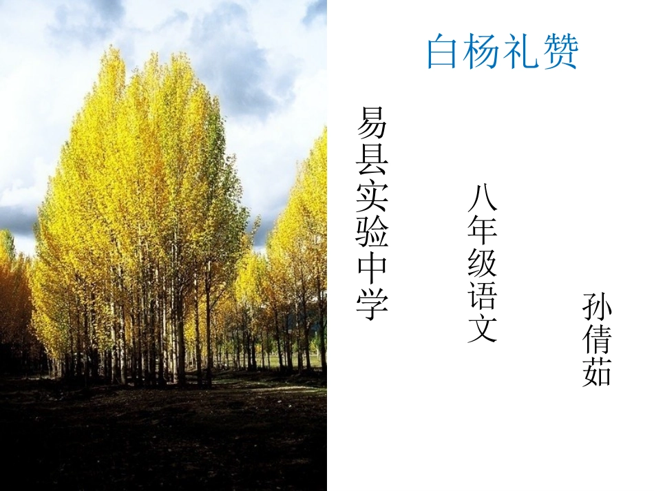 1.白杨礼赞 (4)_第1页