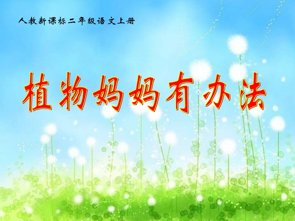 植物妈妈有办法第一、二、三课时_第1页
