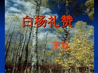 《白杨礼赞》参考课件3