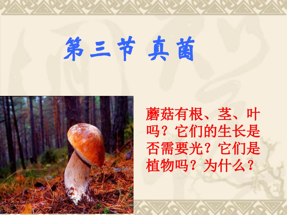 第三节-真菌-(2)_第1页