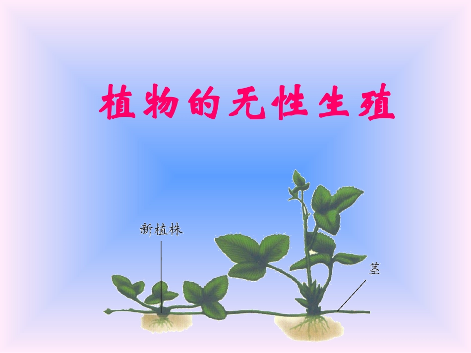 第七节植物的无性生殖_第2页