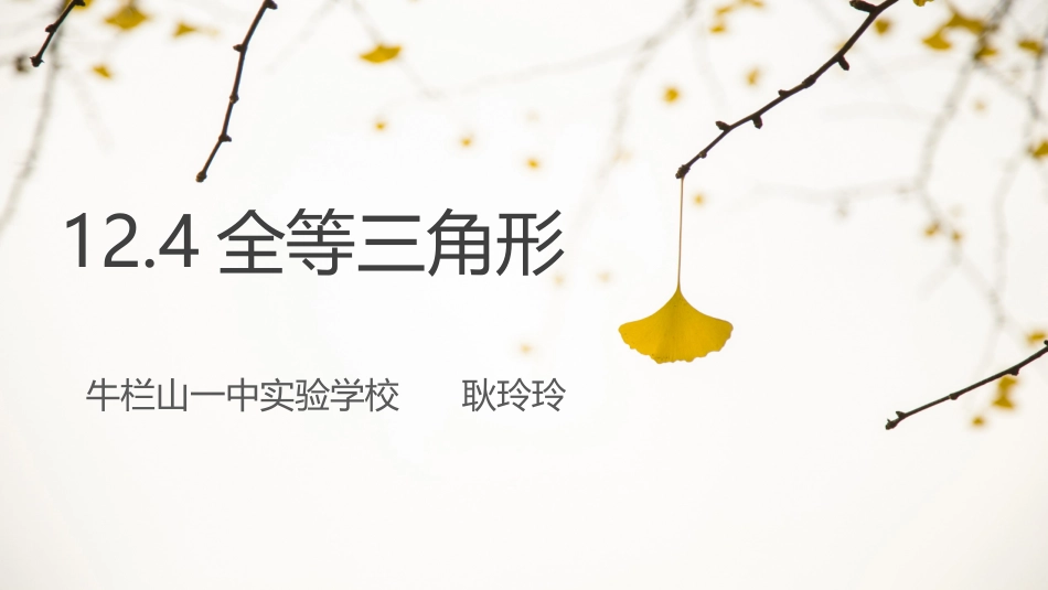 12.4全等三角形_第1页
