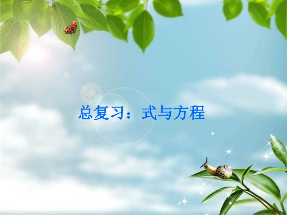 总复习：式与方程_第1页