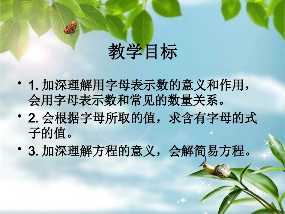 总复习：式与方程_第2页
