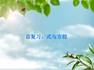 总复习：式与方程