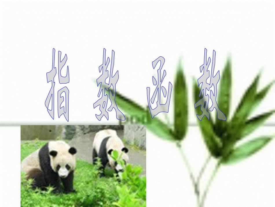 3.1.1分指数函数_第3页