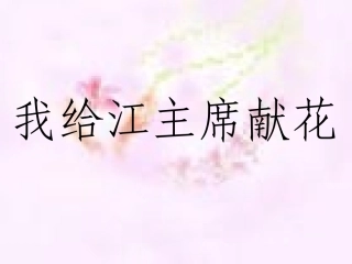 给江主席献花第一课时