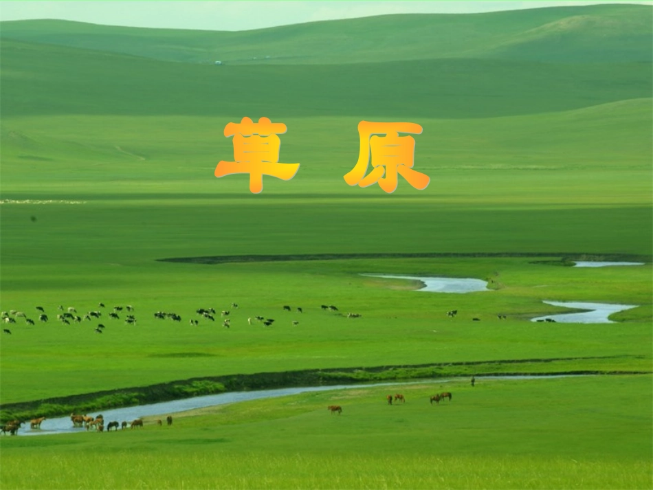 1《草原》精美课件_第2页