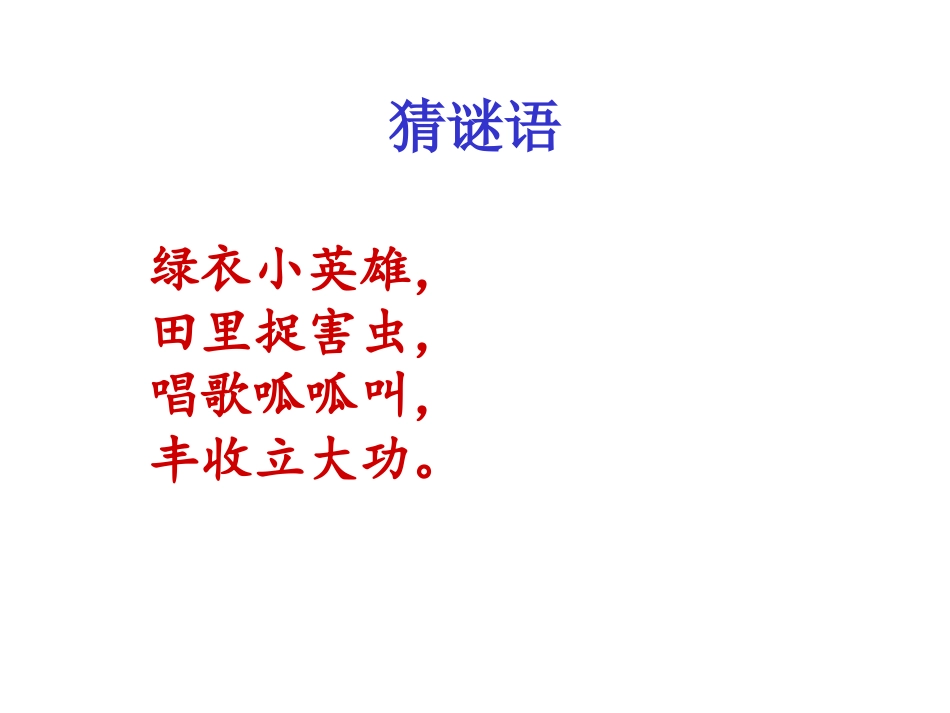 21青蛙卖泥塘_第3页