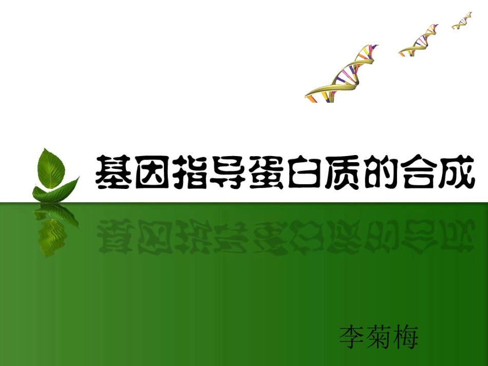 217基因指导蛋白质的合成_第2页