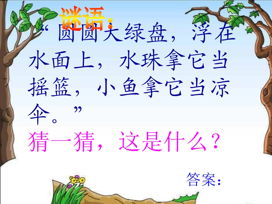 (部编)人教语文2011课标版一年级下册13--荷叶圆圆_第1页