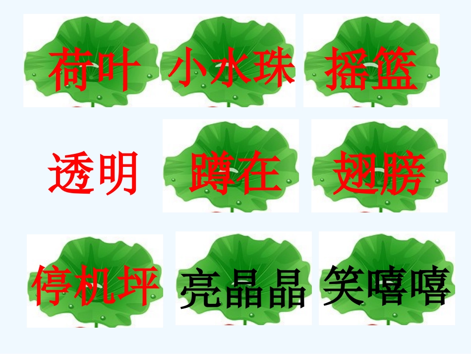 (部编)人教语文2011课标版一年级下册13--荷叶圆圆_第3页