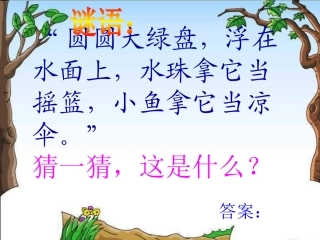 (部编)人教语文2011课标版一年级下册13--荷叶圆圆